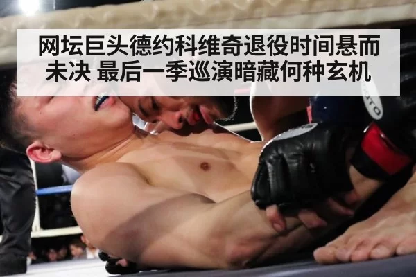 网坛巨头德约科维奇退役时间悬而未决 最后一季巡演暗藏何种玄机